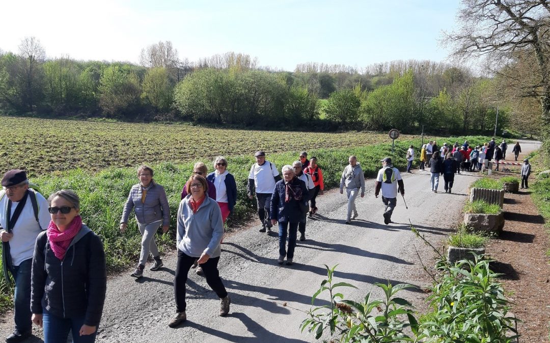 Vern-sur-Seiche. Une marche pour aider la recherche sur la maladie de Parkinson
